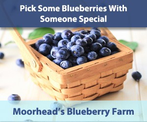 Moorhead’s Blueberry Farm