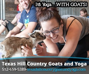 Texas Hill Country Goats and Yoga